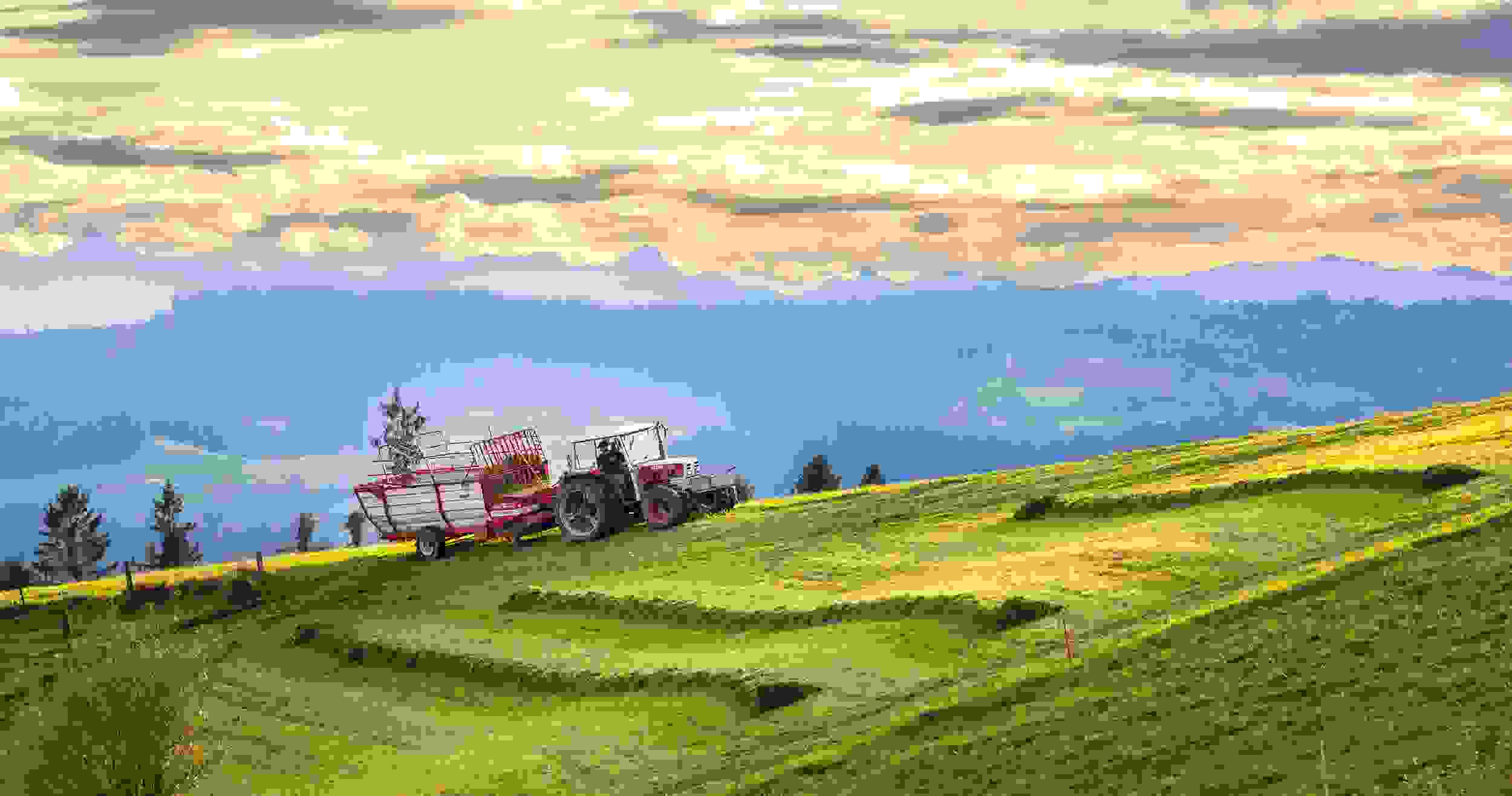 AgriMesse2026_StefanGerber_rgb_Bj54tyc.jpg